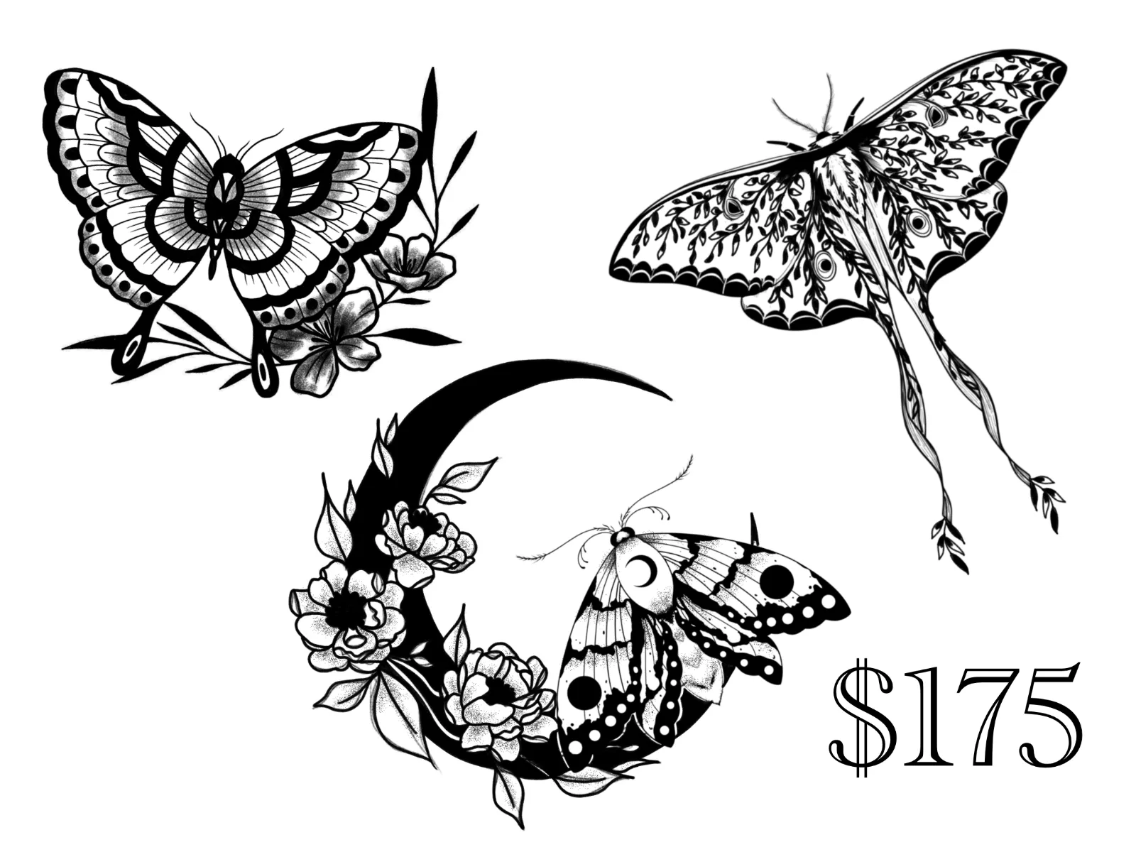 Flash sheet: Moths & crescent